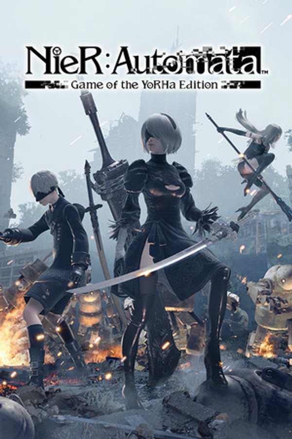 Čeština do NieR:Automata™