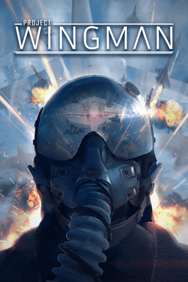 Project Wingman VR