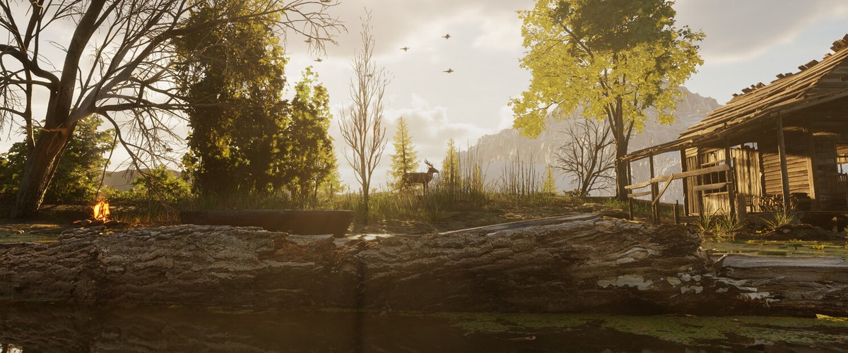 Forest Doesn’t Care