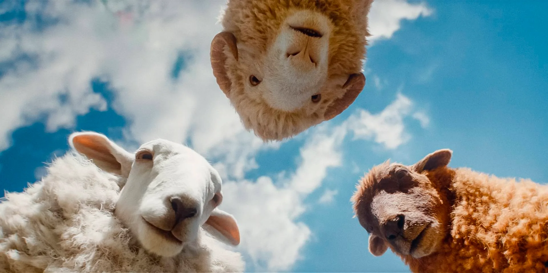 Hugh Jackman a tí najneočakávanejší pátrači v detektívke pre celú rodinu