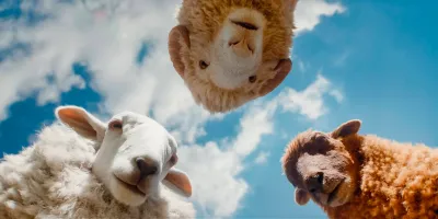 Hugh Jackman a tí najneočakávanejší pátrači v detektívke pre celú rodinu